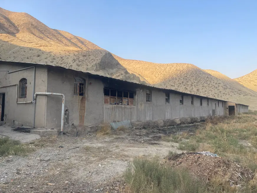 شریک و سرمایه گذار