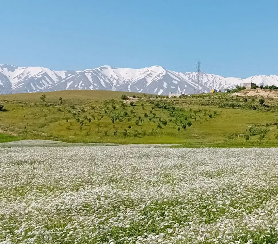 باغ بزرگ در دل طبیعت بکر