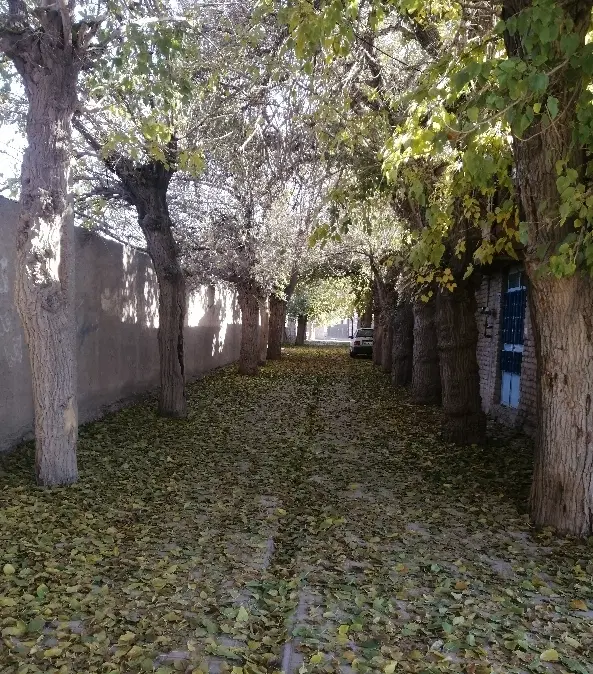 رهن واجاره مناسب مسکونی و اداری خیابان مَلک