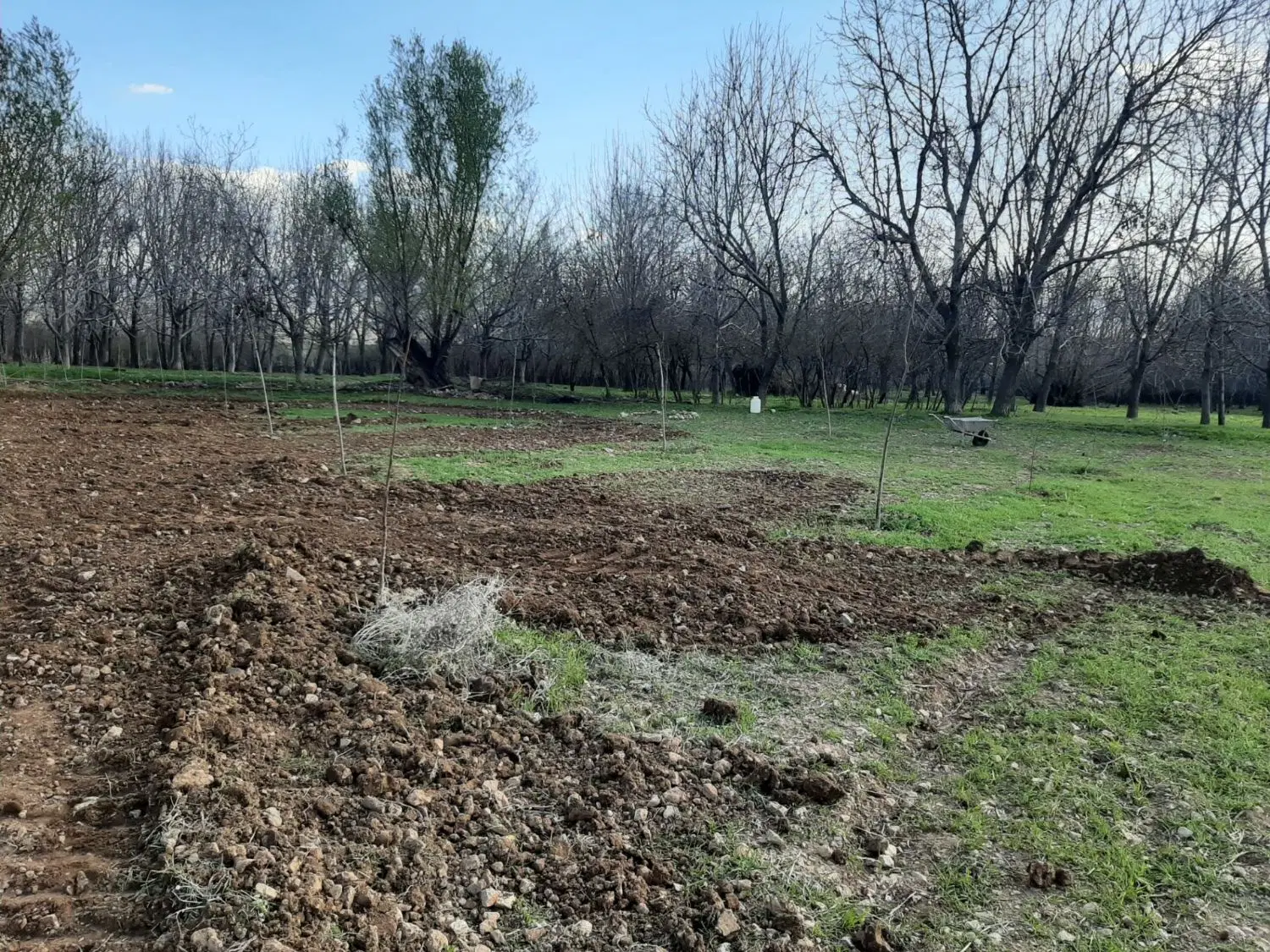 باغ کشاورزی