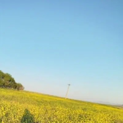 زمین مناسب باغ و سرمایه گذاری