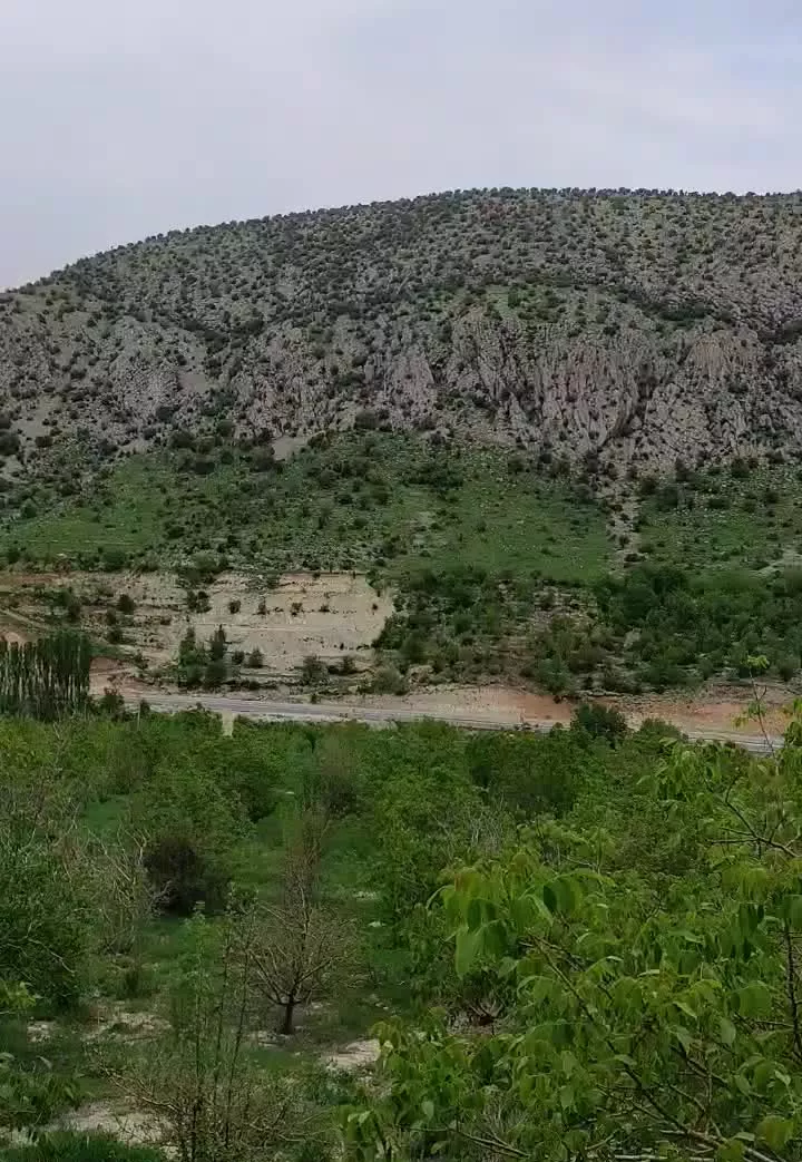 باغ زیبا یاسوج به شیراز