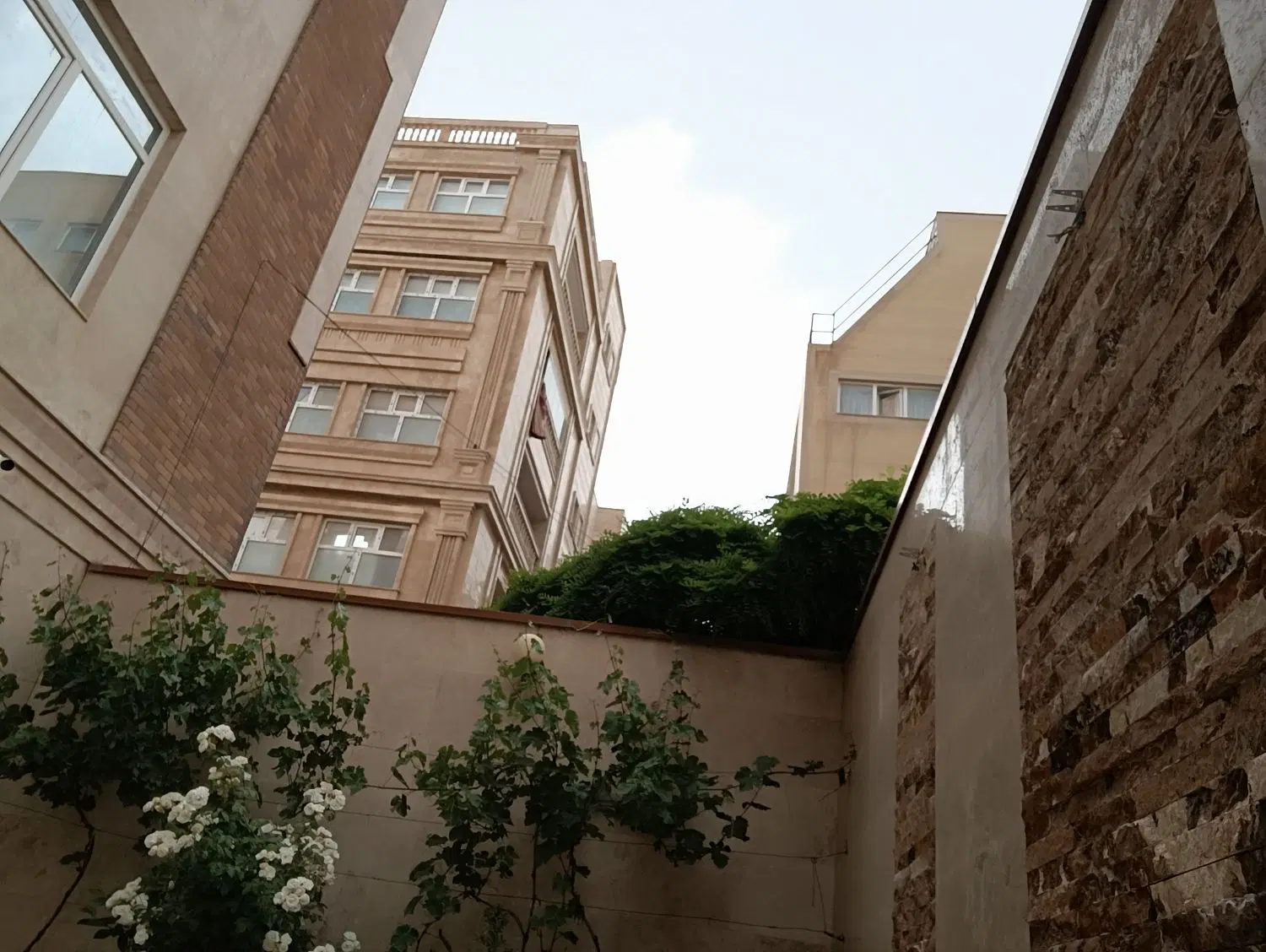 نصر-125متر- سنددار-سه نبش