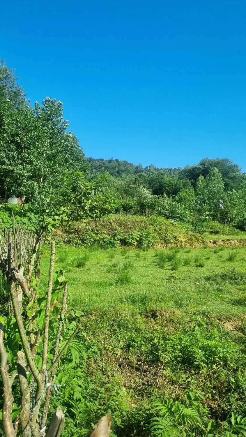 زمین ۳۰۰۰ متری کوهپایه ای