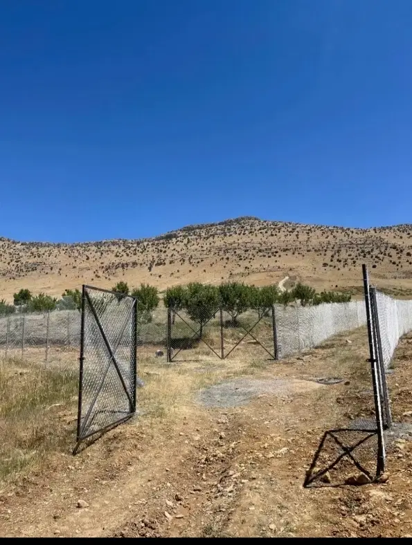 فروش‌باغ چهل چشمه شایانی