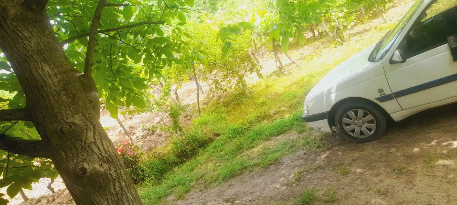 باغ آبی فروشی فوری