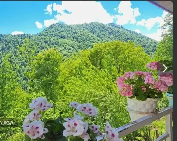 زمین درب از حیاط