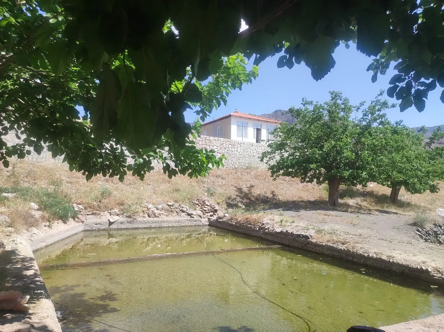 باغ ویلا روستای قز