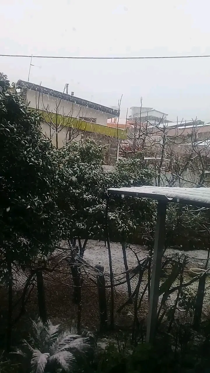 هم خونه