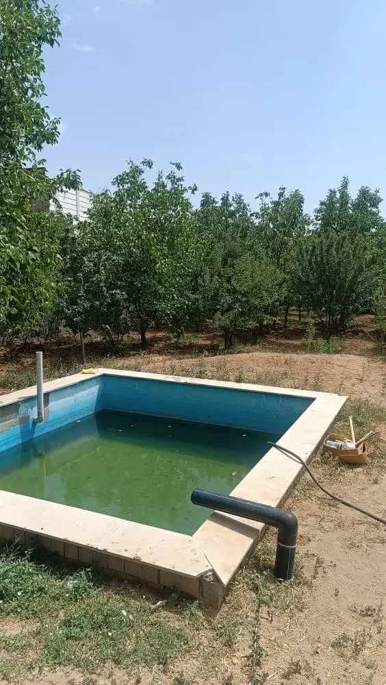 باغ و ویلا