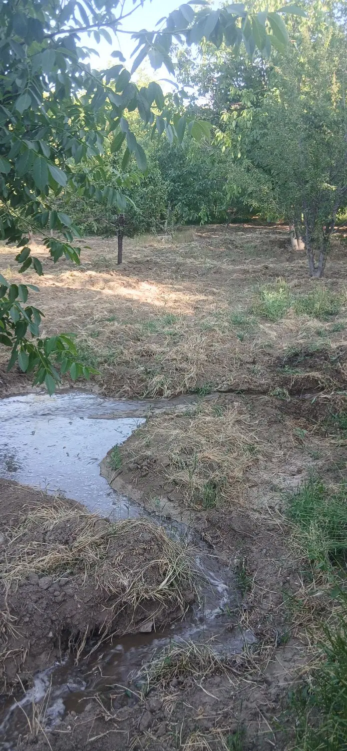 باغ800متری روستای شمس اباد