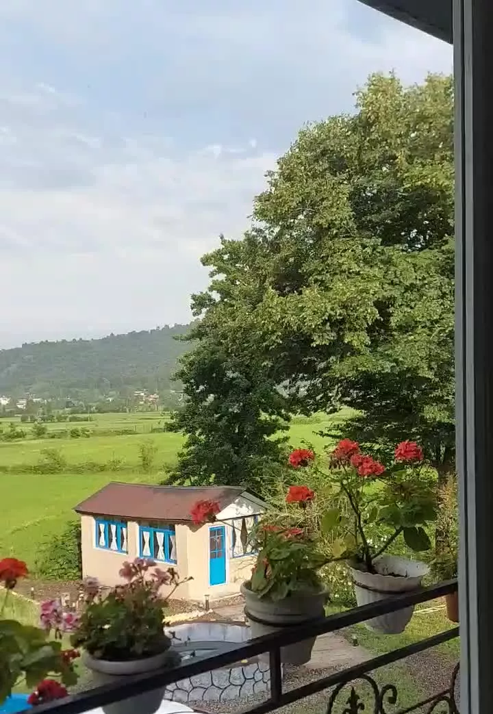 اجاره ویلا و کلبه سه خوابه جنگلی ماسال