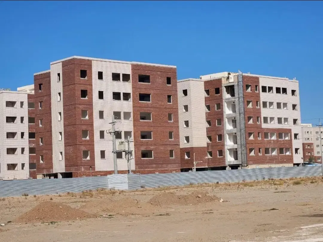 فیش مسکن