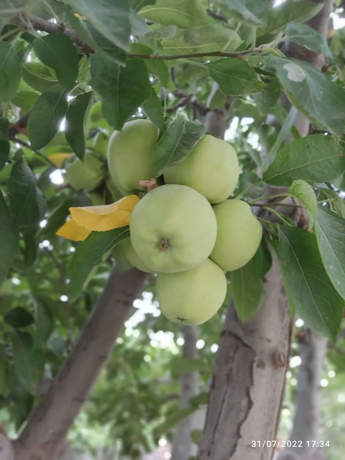 آپارتمان دو خوابه برای معاوضه