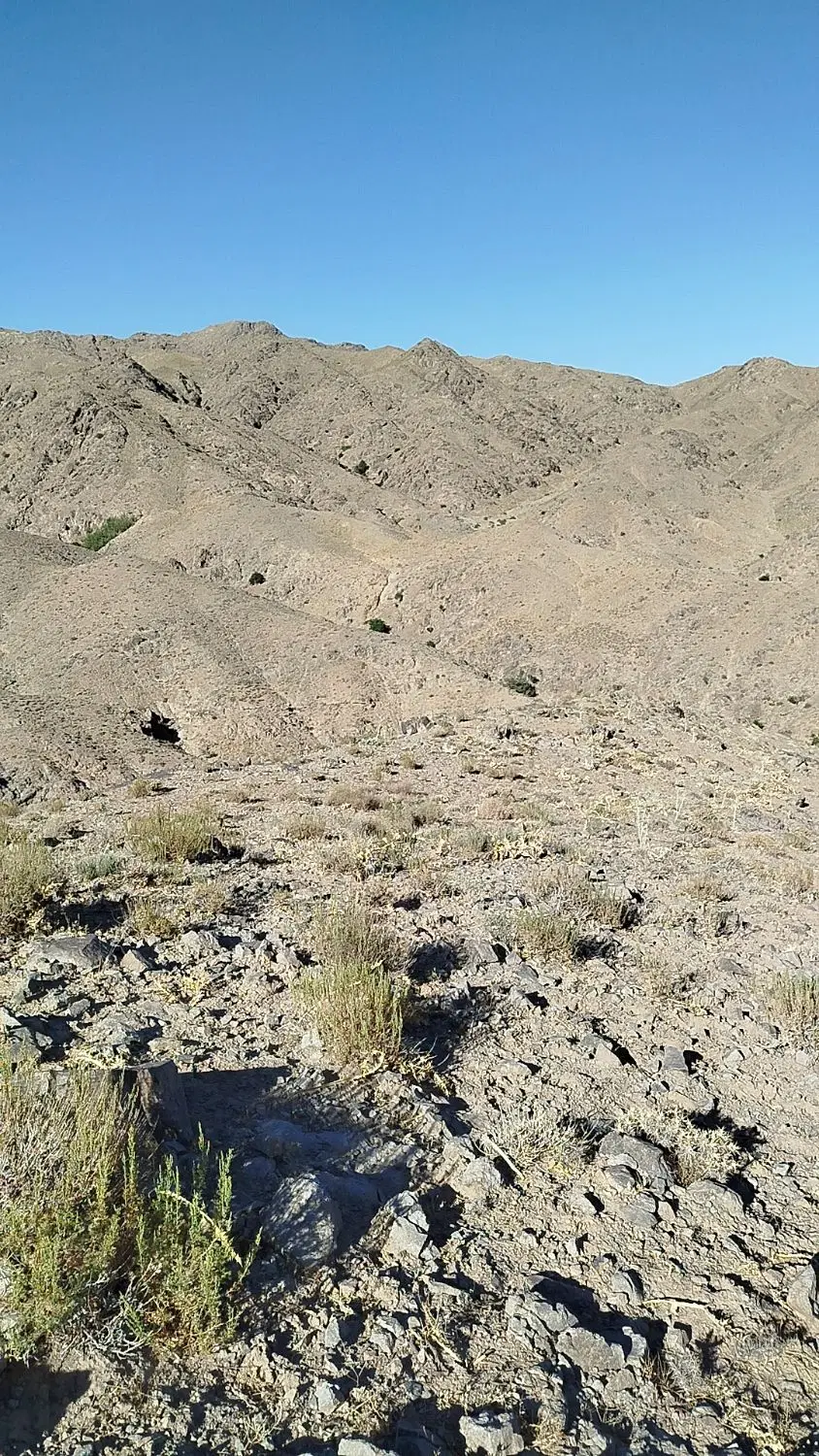 زمین صنعتی