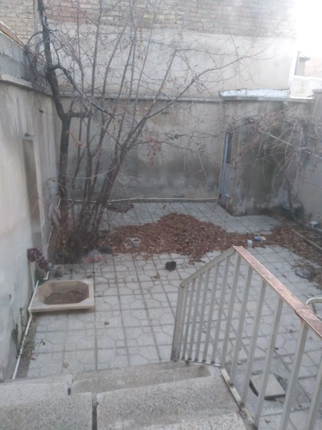 خانه‌پزشکیان‌خ‌پنجم‌دار‌نهال