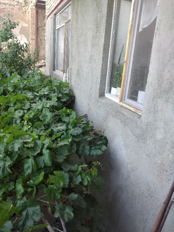 یک واحد منزل مسکونی