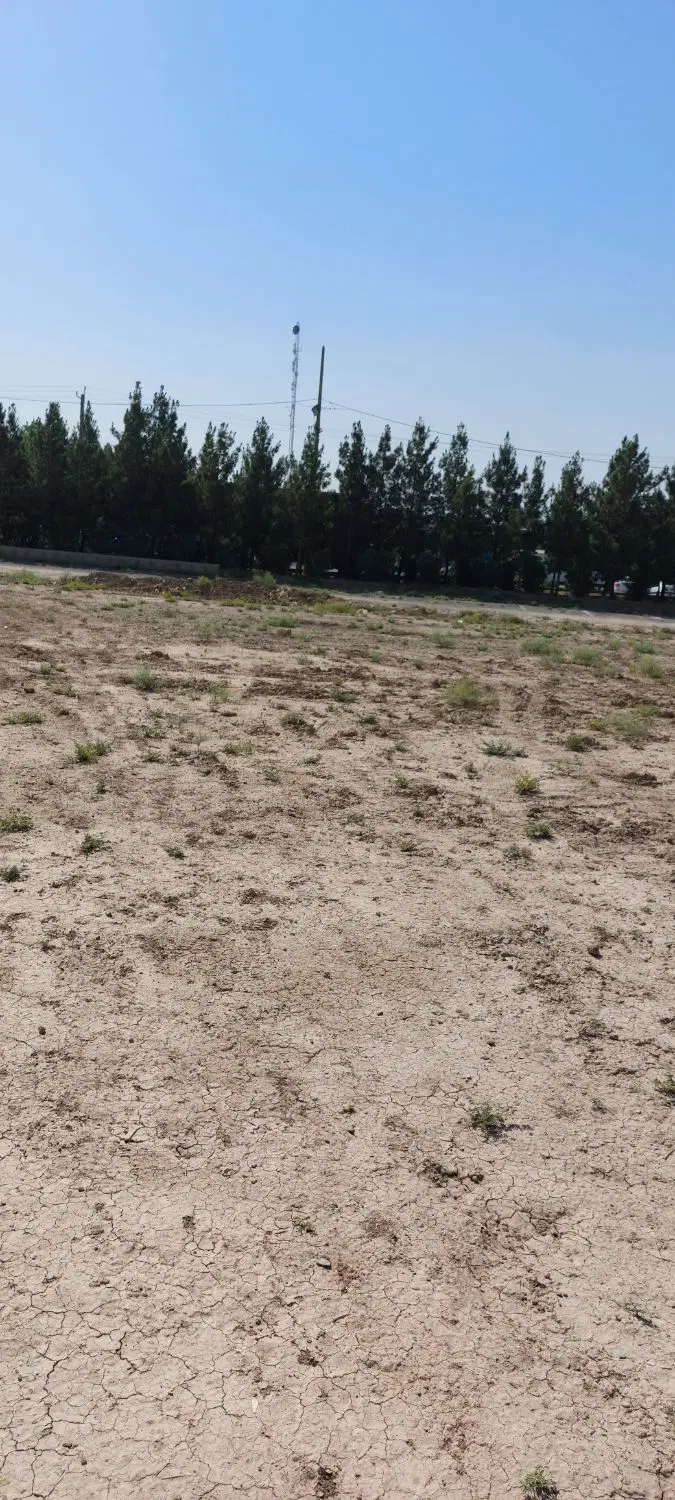 زمین ۲۰۰ متری ششدانگ