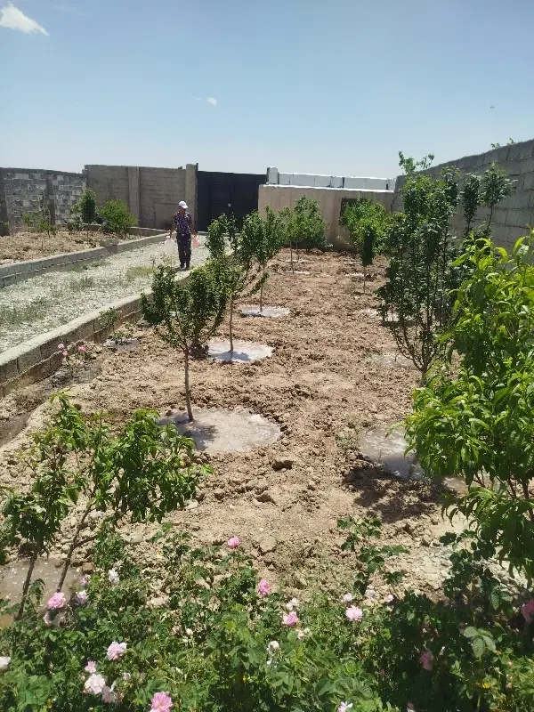 باغچه577متر مربع سند تک برگ+چاه آب