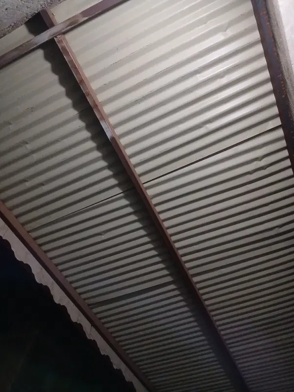 مستاجرم