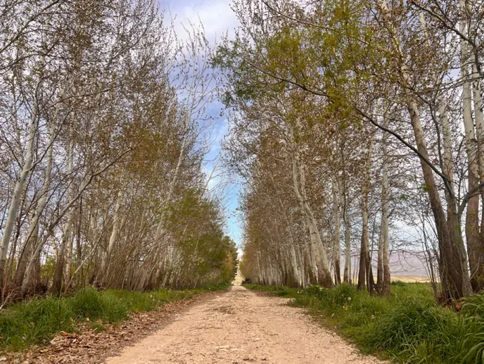 زمین‌ مسکونی