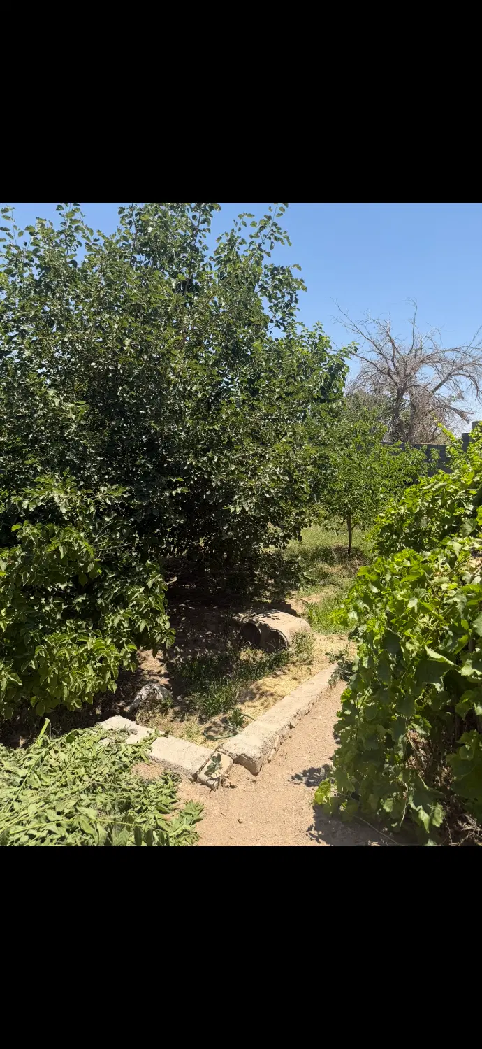 باغ مسکونی ناصر خسرو ۲۲ -1500 متر