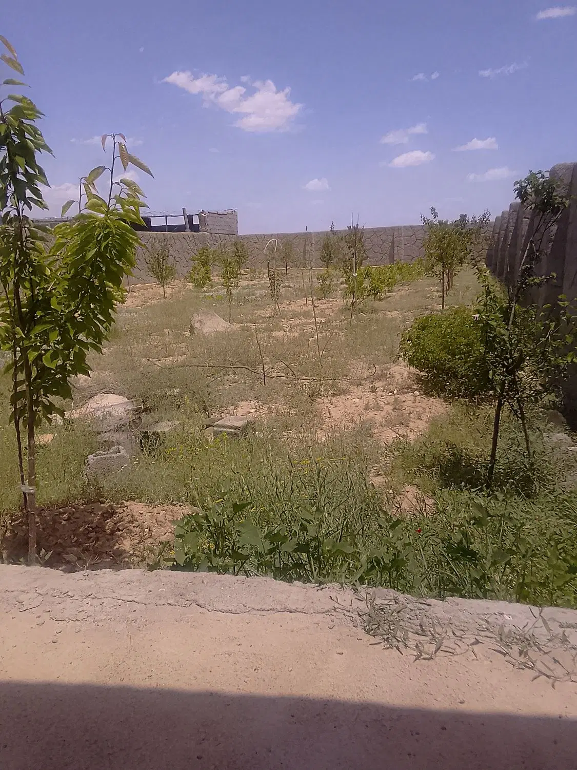 خانه باغ