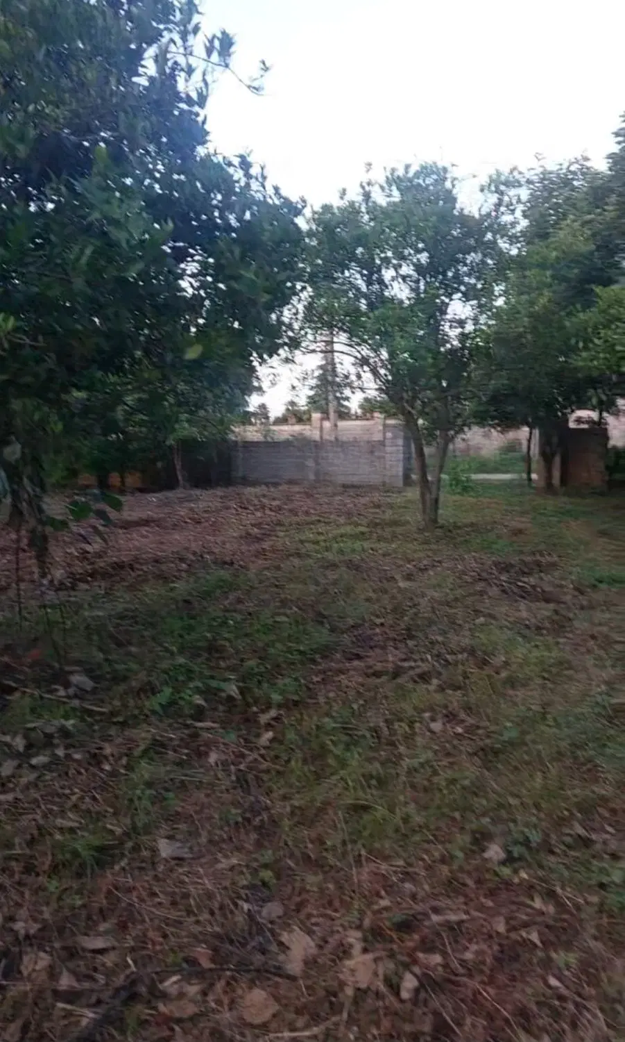 فروش زمین