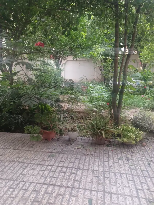 زمین در بافت گلوگاه