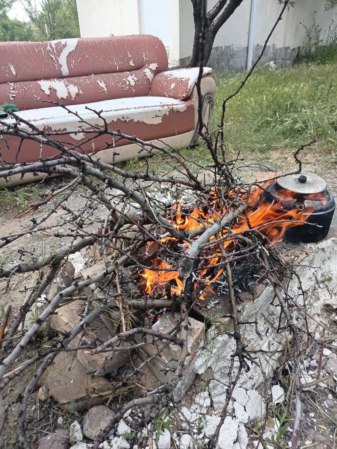 باغشهر اشراق(پارس سوییچ)