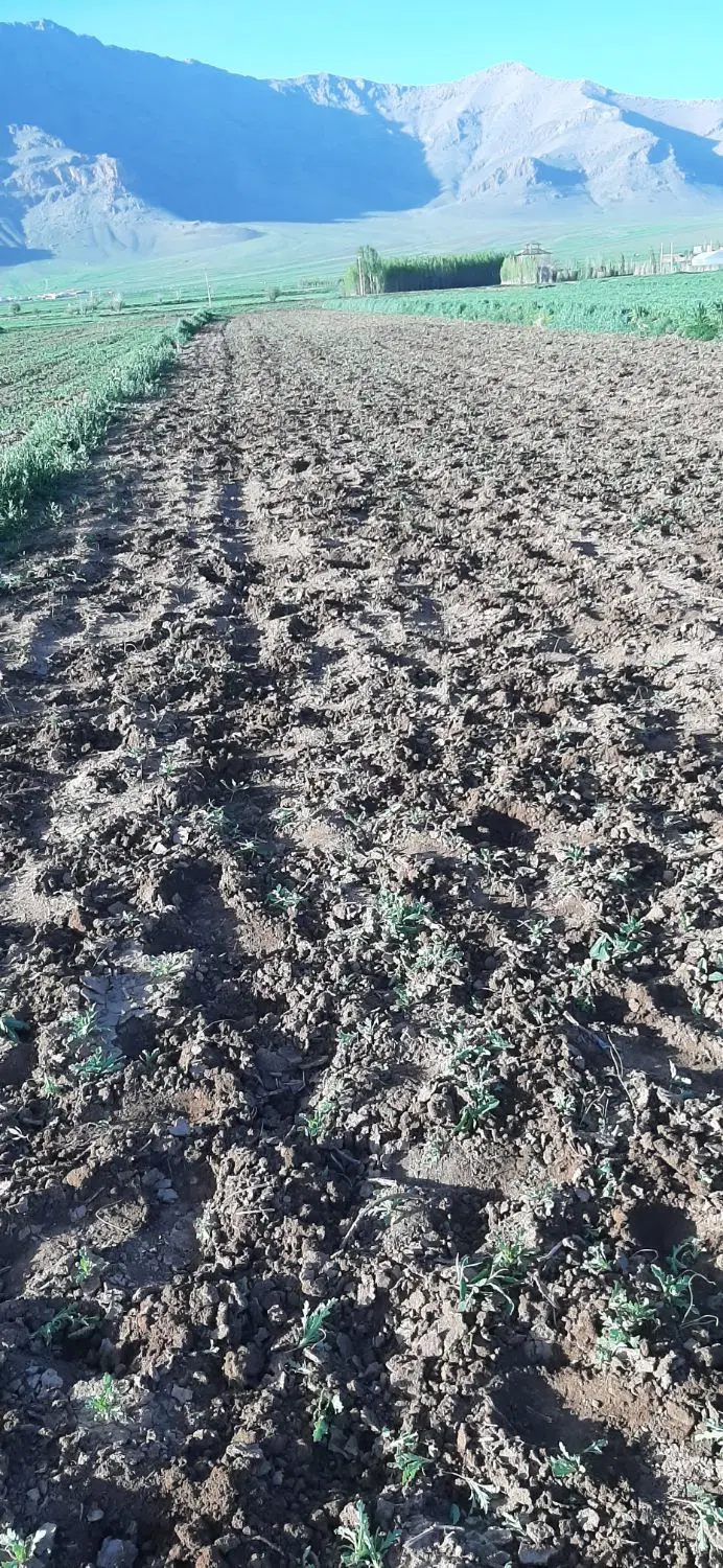 فروش زمین واقع درچشمه خانی