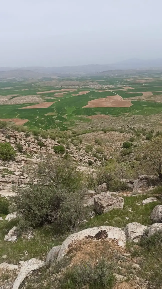 زمین مسکونی