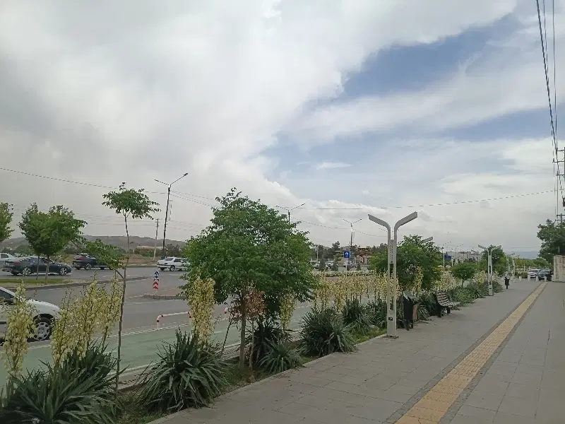 ۲۵۷متر زمین دور دیوار