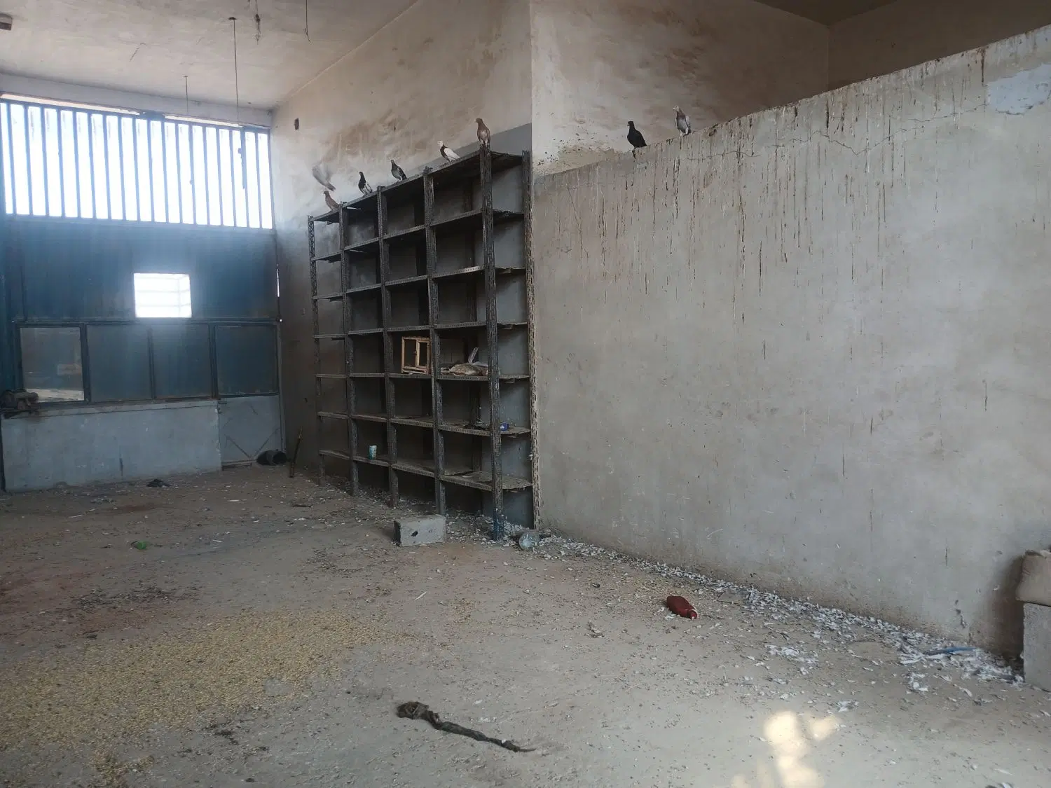 اجاره گاراژودودهنه مغازه برومی