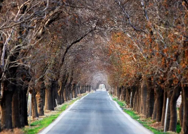 زمین باغشهری