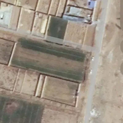 زمین
