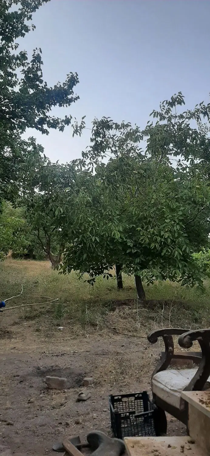 باغ بسیار زیبا در زنجان