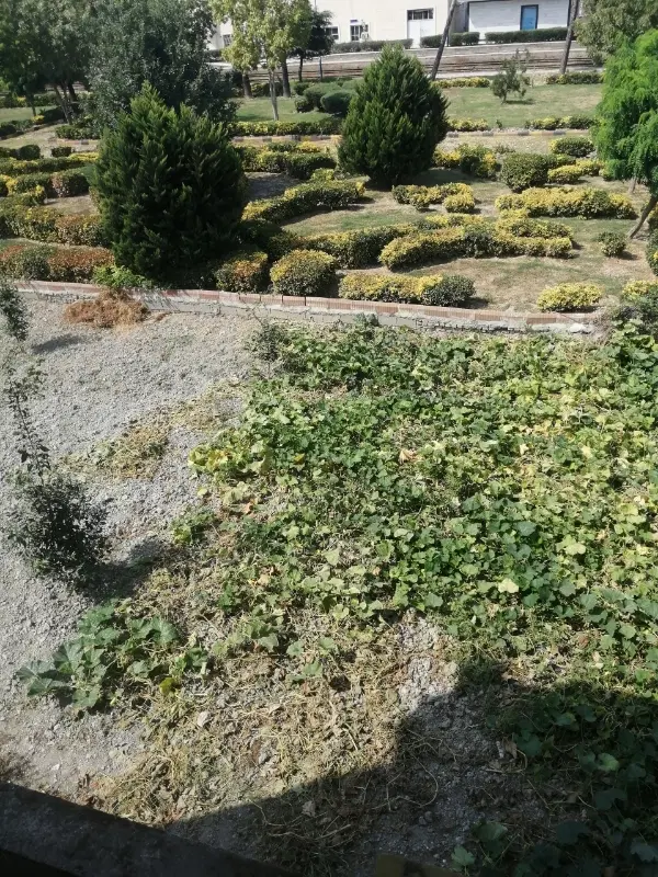 فروش زمین بهپاک