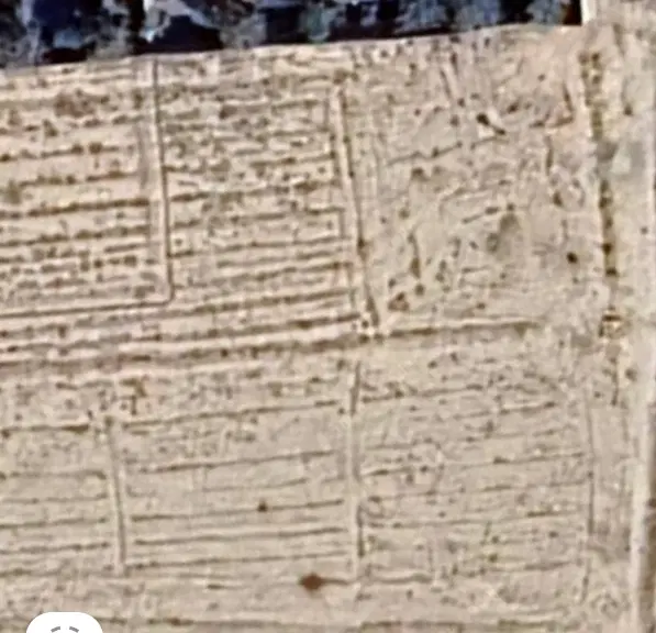 زمین باغی