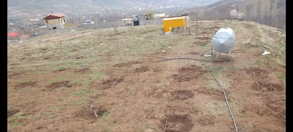 زمین و باغ