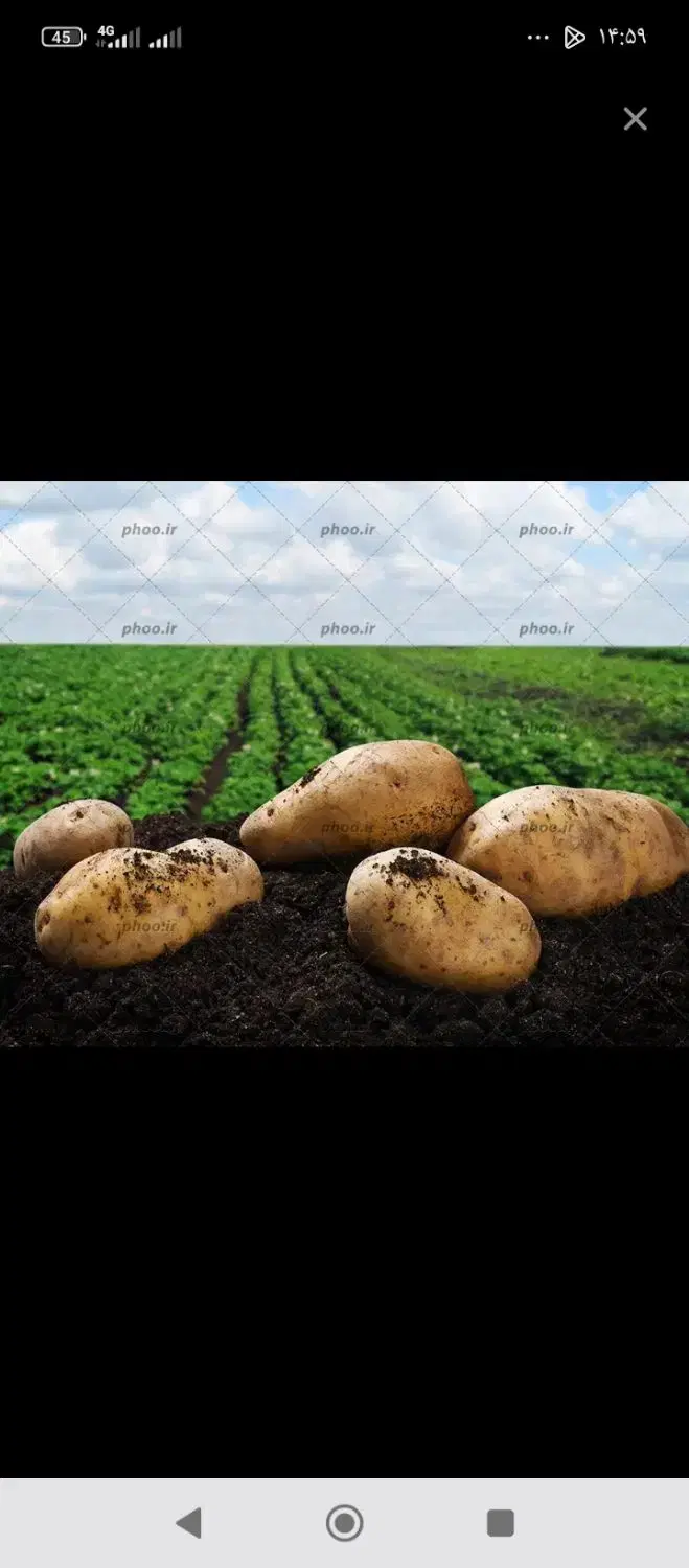 فروش زمین کشاورزی قطعات 10 هکتار به بالا