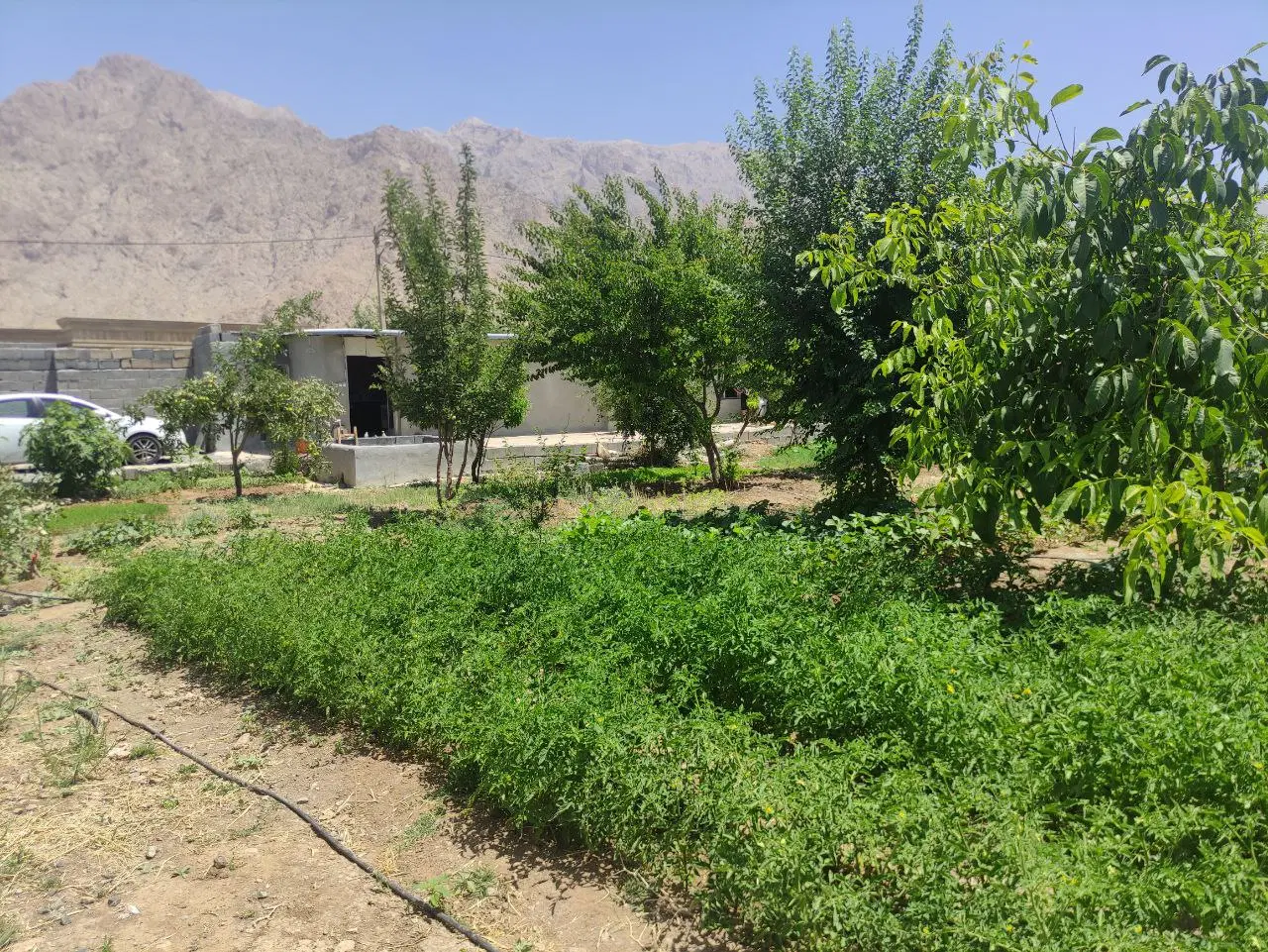 زمین دوبر ۷۰۰ متری سرابله