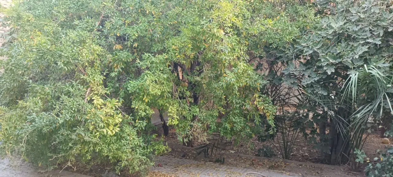 فروش مسکونی