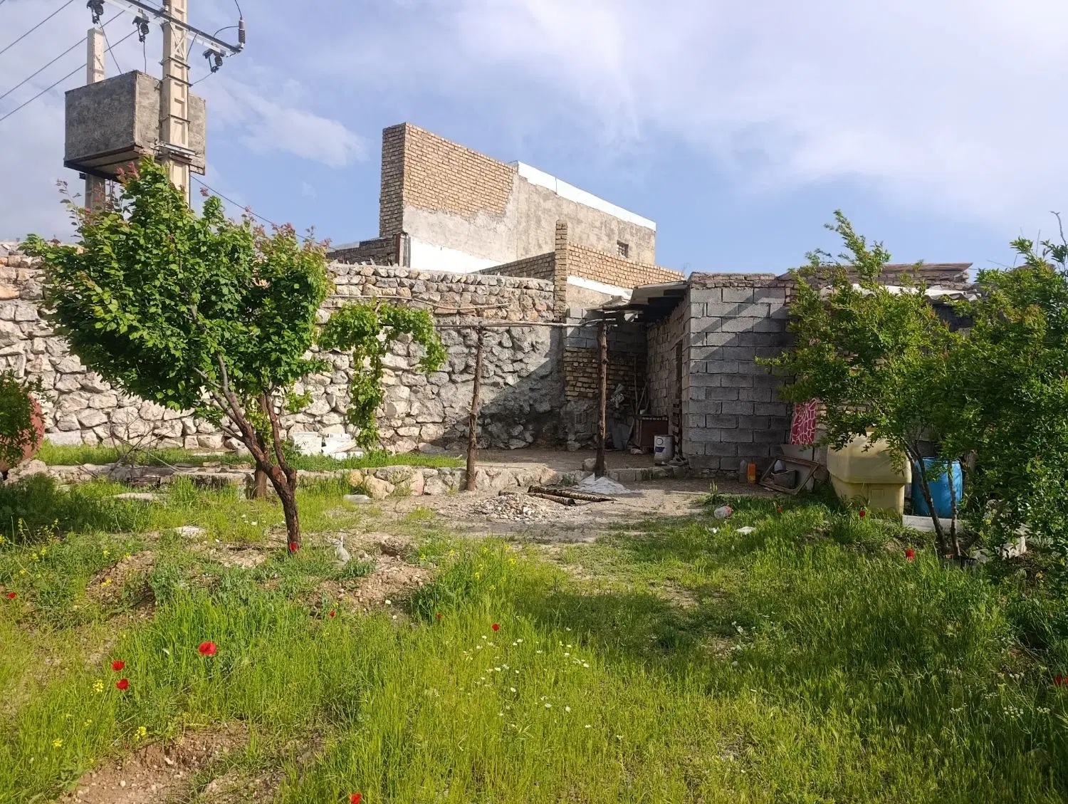 زمین کشاورزی