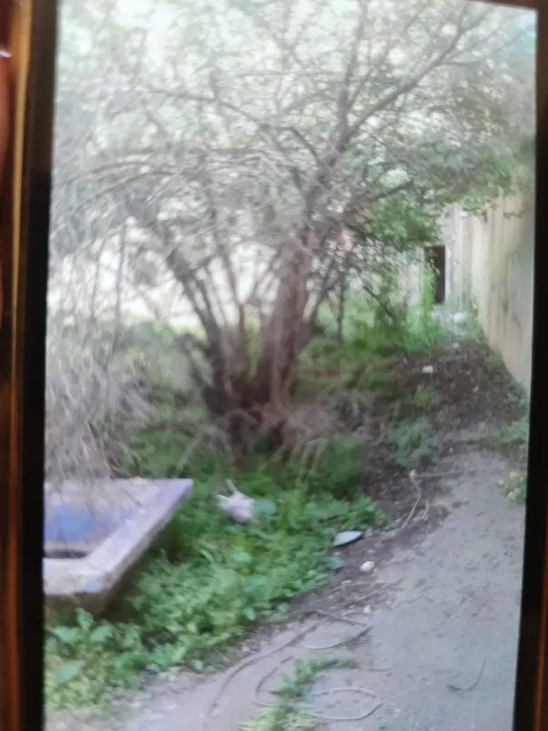 فروش  خانه جهت بازسازی و ساخت خانه سنتی