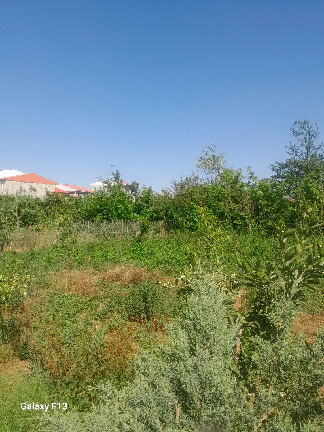 ۲۵۰متر زمین با کاربری کاملا مسکونی و شهری