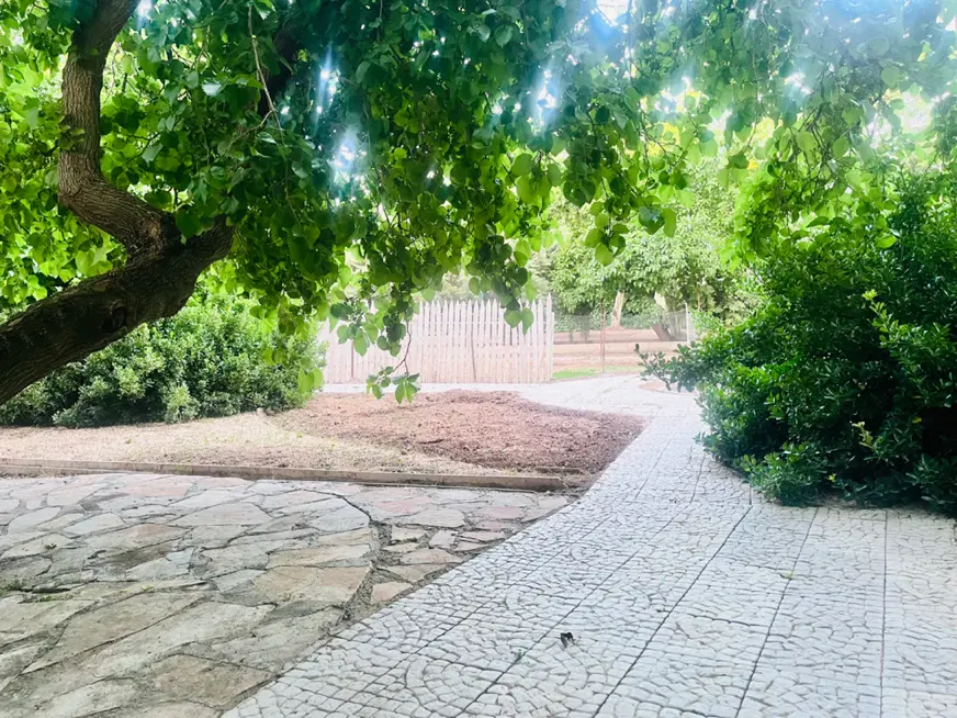 رهن‌اجاره مغازه بازار شهرستانی