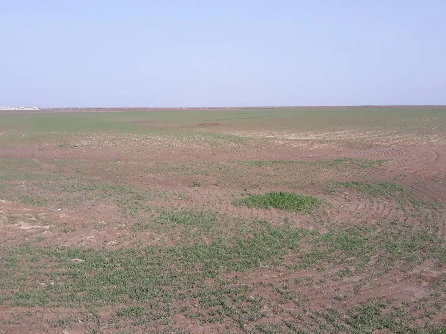 زمین کشاورزی ۶۰۵۰۰ متر ( ۶ هکتار و ۵۰۰ متر )