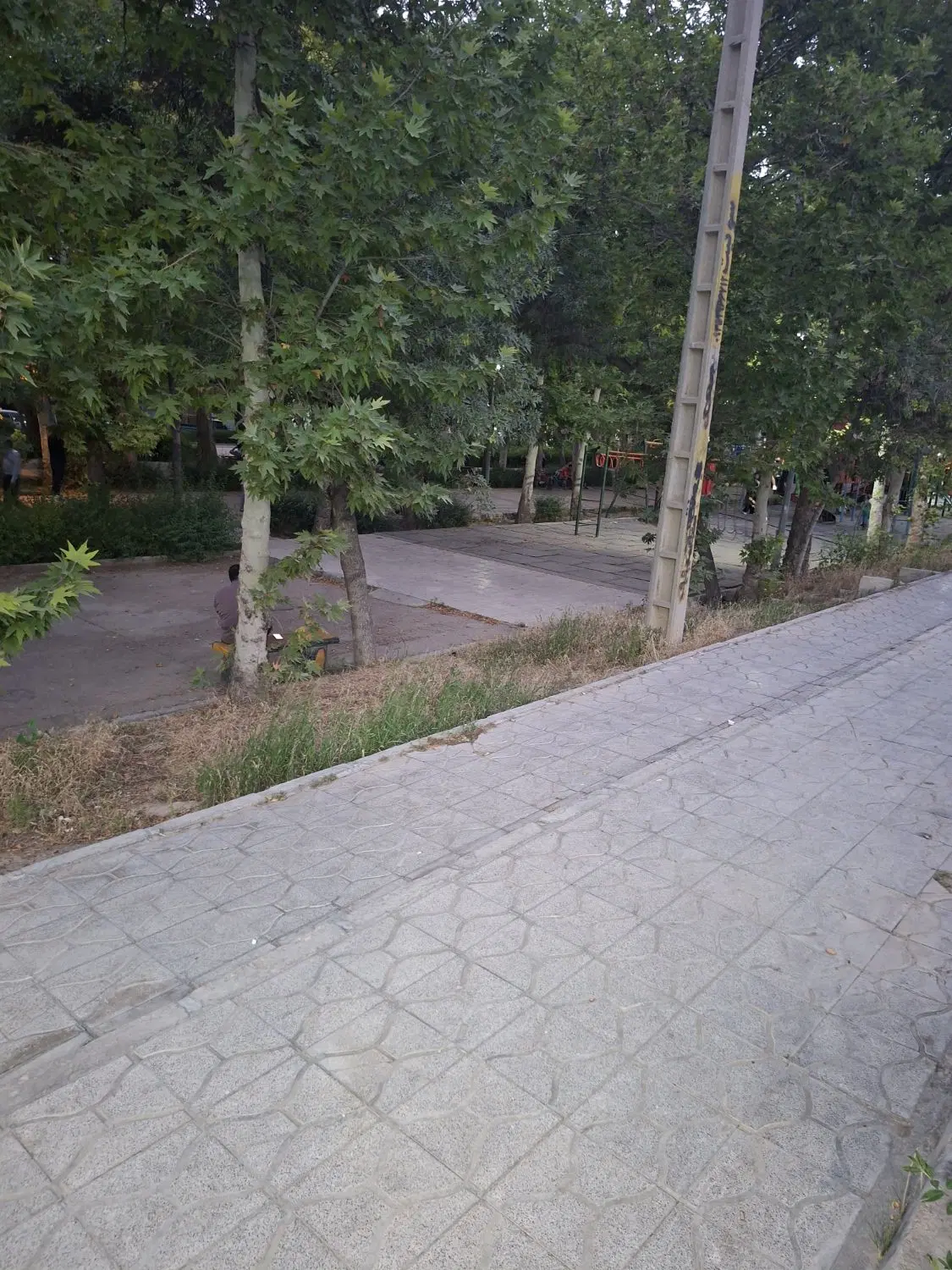 زمین مناسب برای باغ