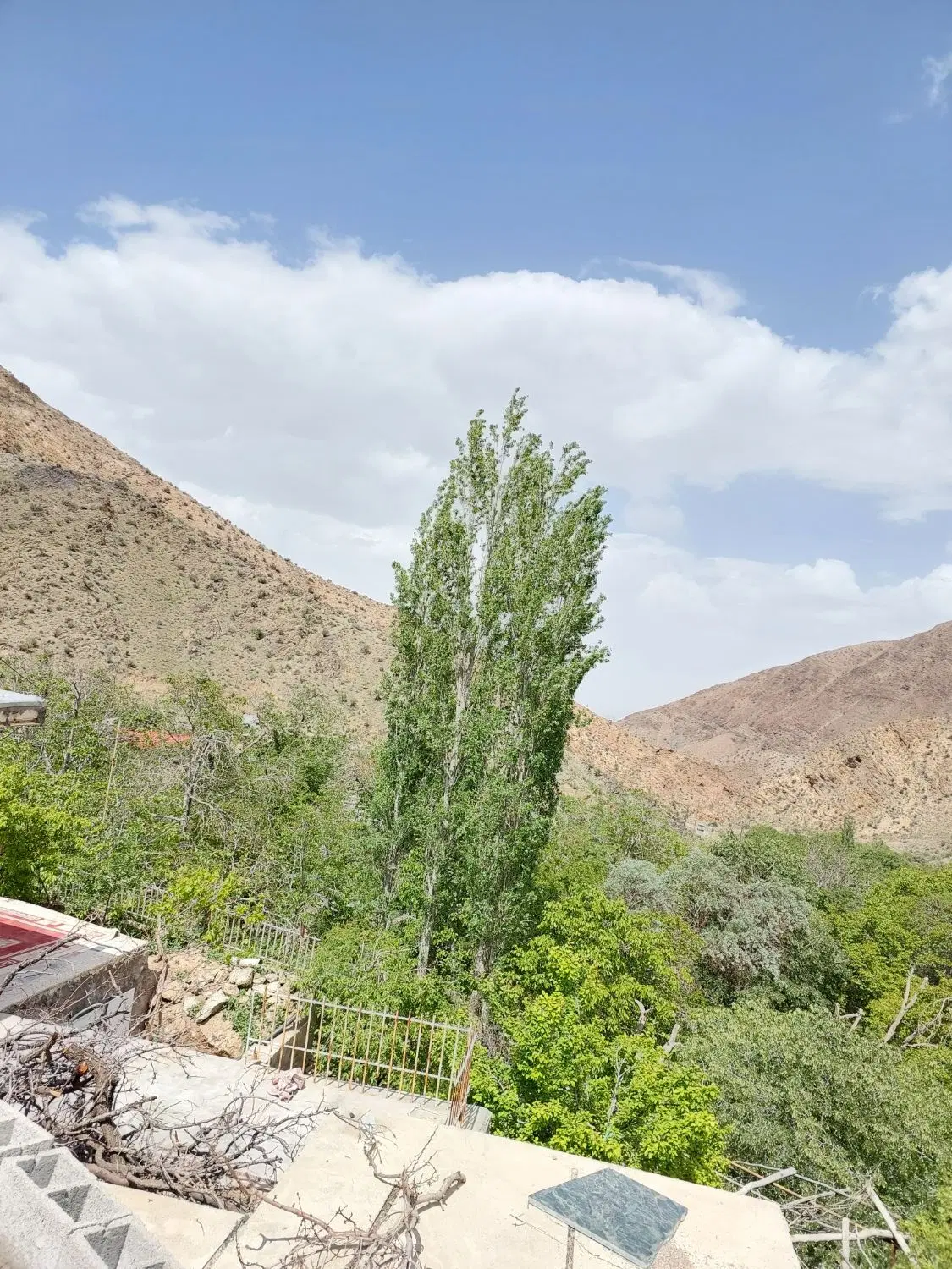 فروش  زمین کشاورزی